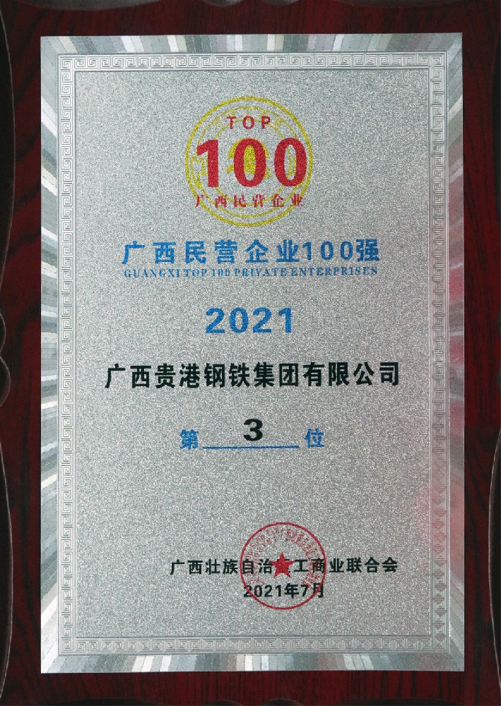 2021年广西民营企业100强第3位.jpg